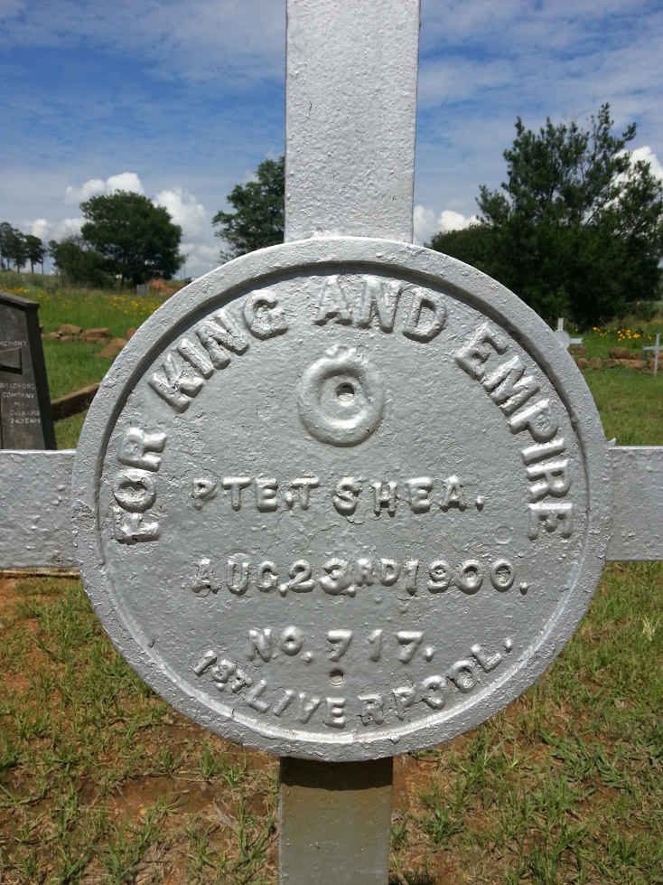 SHEA T. -1900