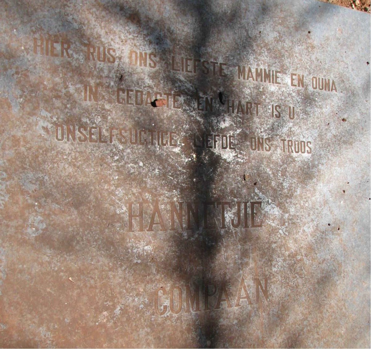 COMPAAN Hannetjie 
