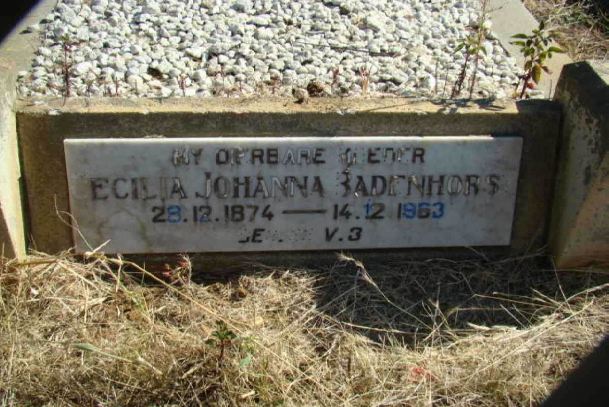 BADENHORST Cecilia Johanna 1874-1963