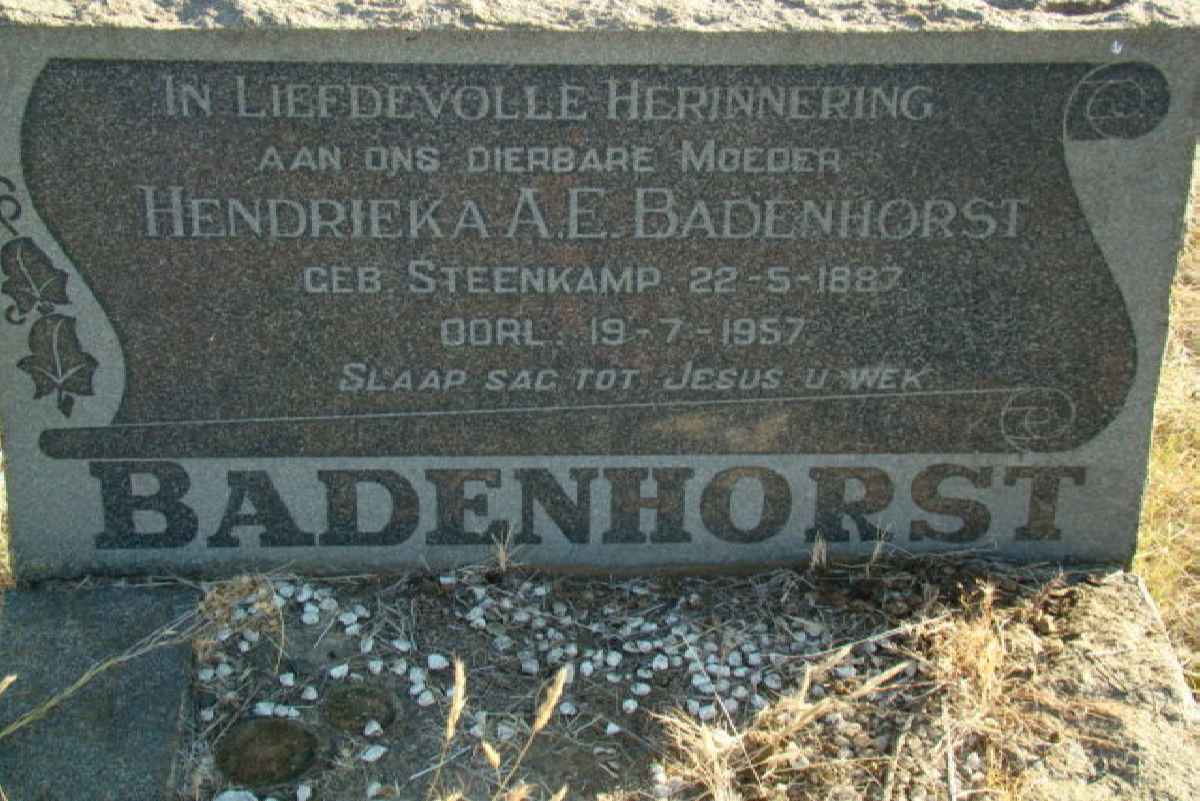 BADENHORST  Hendrieka A.E. nee STEENKAMP 1887-1957