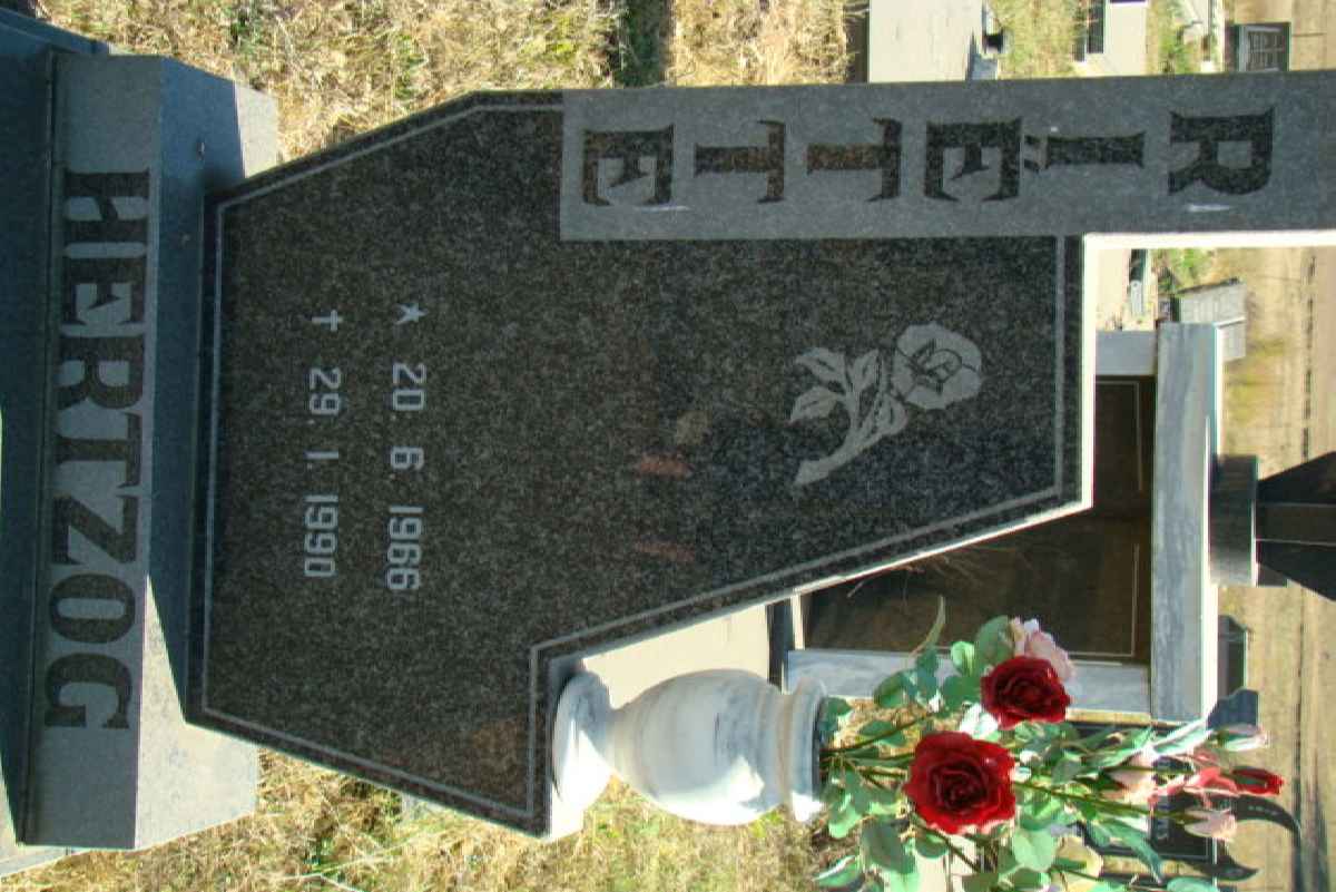 HERTZOG Riette 1966-1990