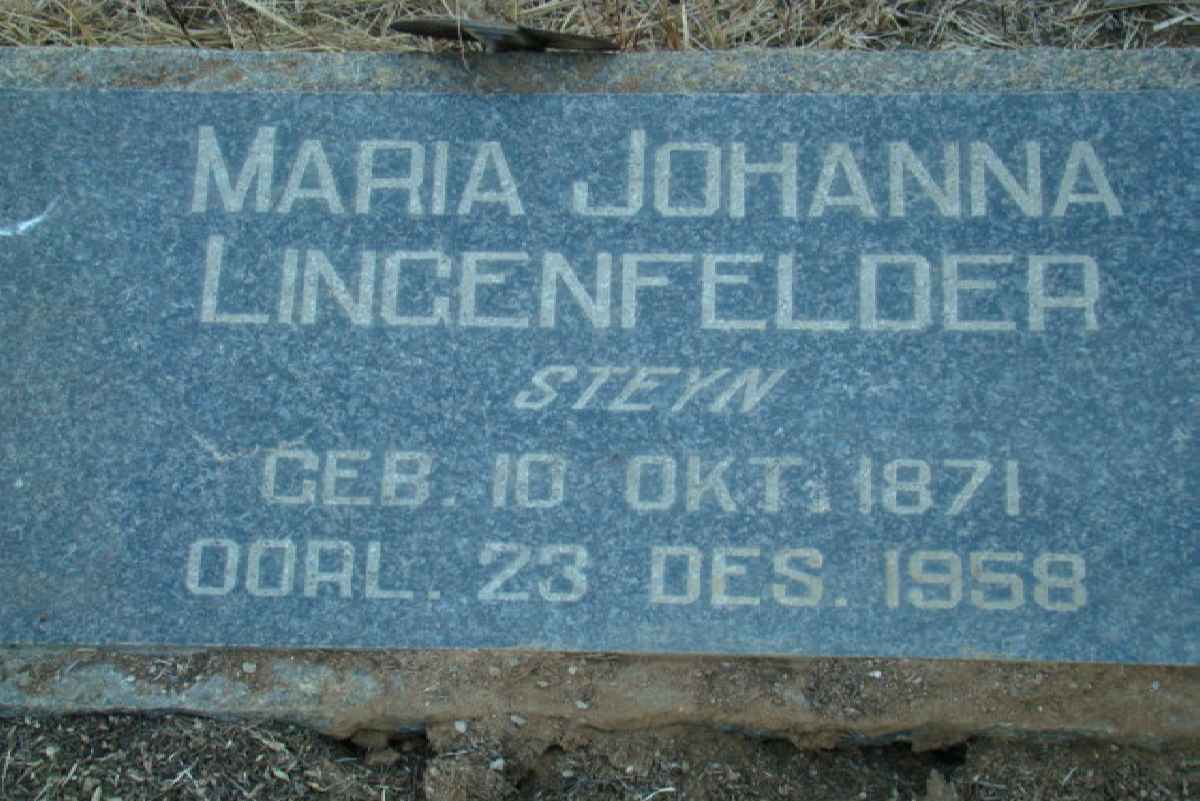 LINGENFELDER Maria Johanna nee STEYN 1871-1958