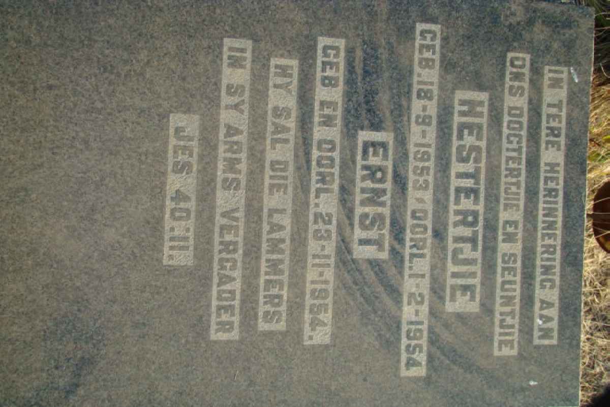 ? Hestertjie 1953-1954 :: ? Ernst 1954-1954
