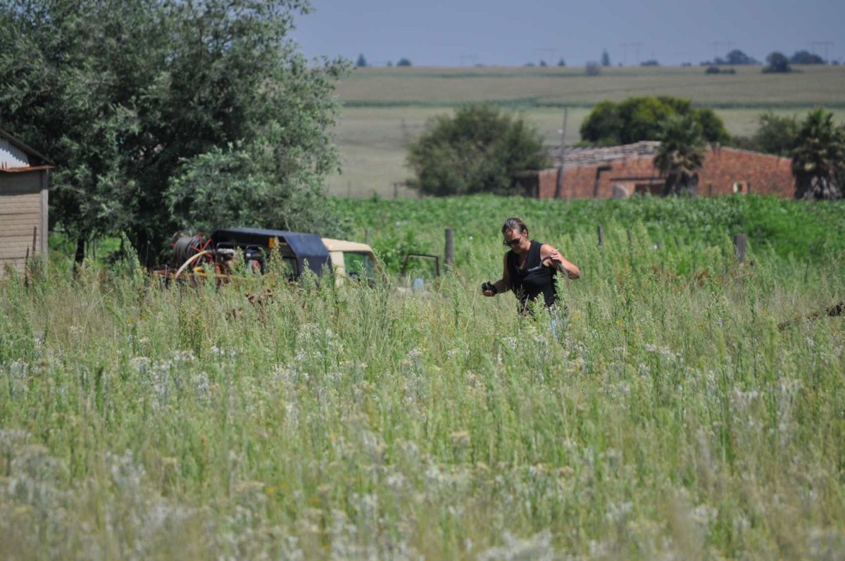 3. Finding graves in the long grass is hard work