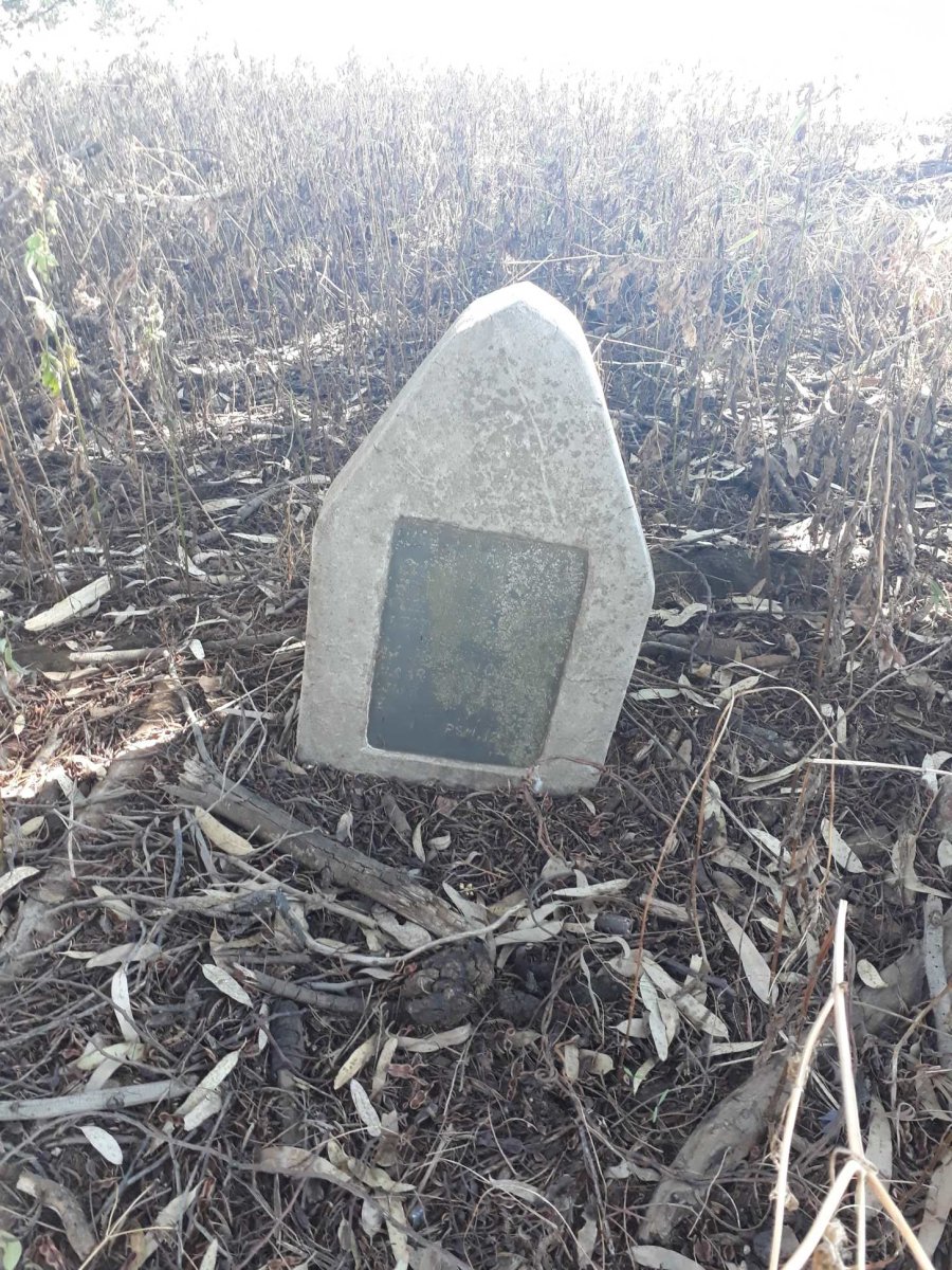 ?