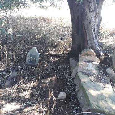 Mpumalanga, MIDDELBURG district, Middelburg, Teutfontein 407, farm cemetery