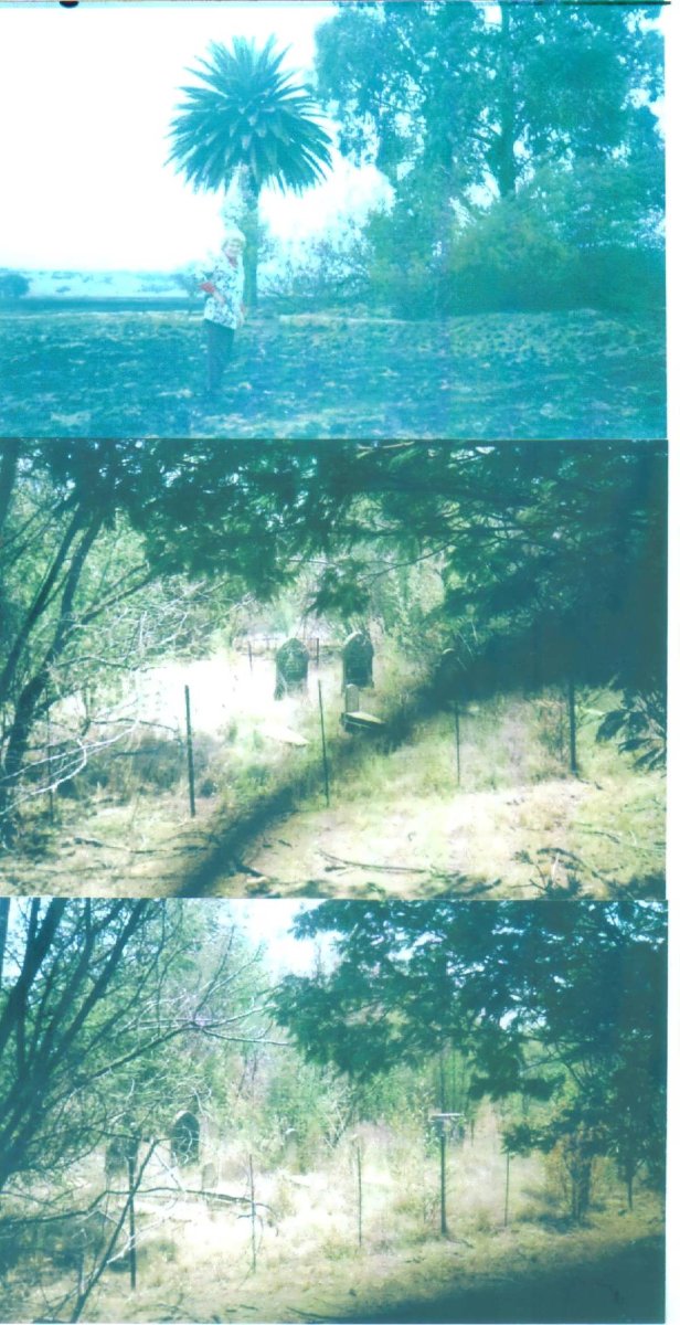 1. Overview