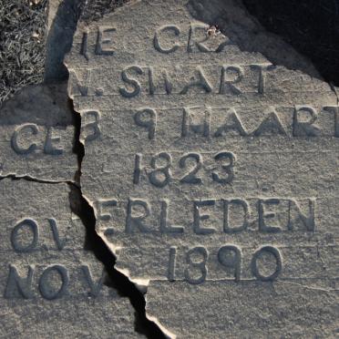 SWART N. 1823-1890