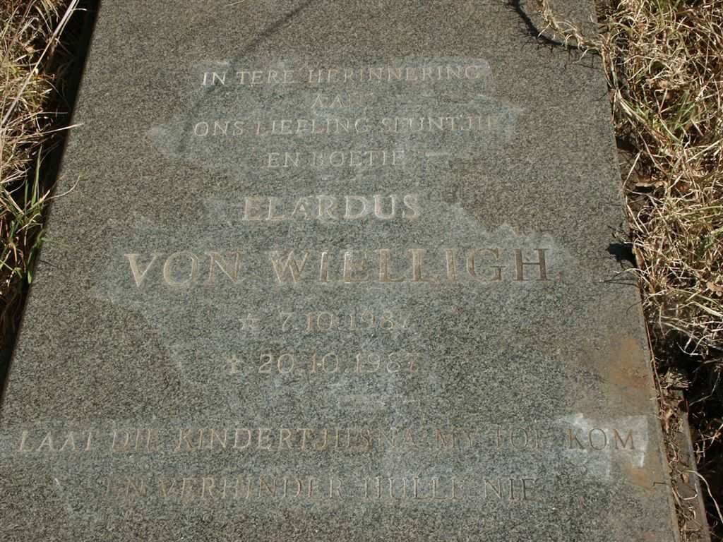 WIELLIGH Elardus, von 1987-1987