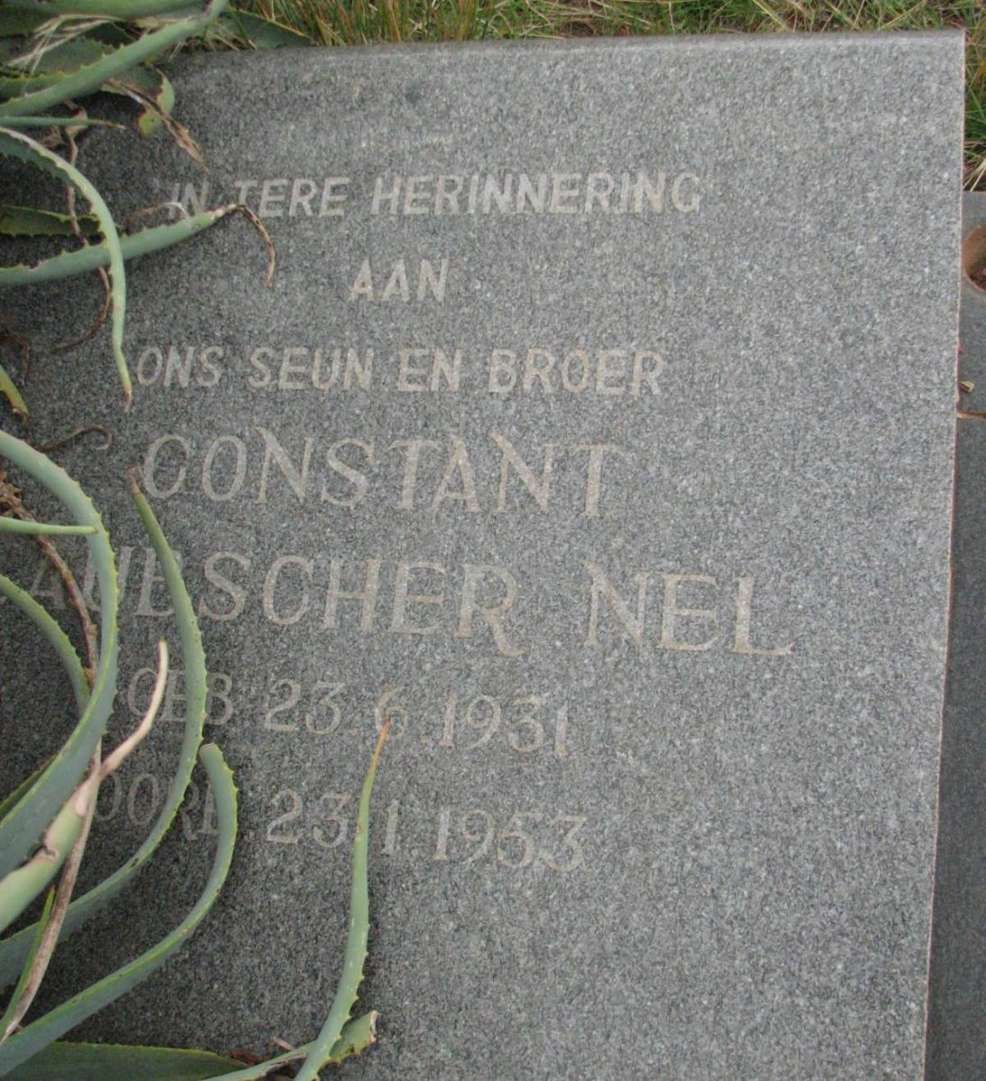 NEL Constant Laubscher 1931-1953