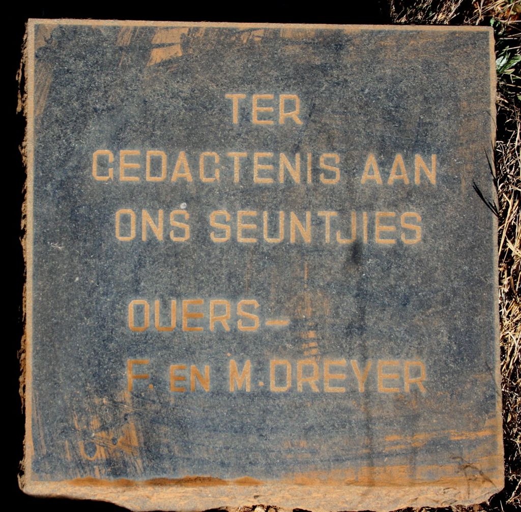 DREYER Seuntjies