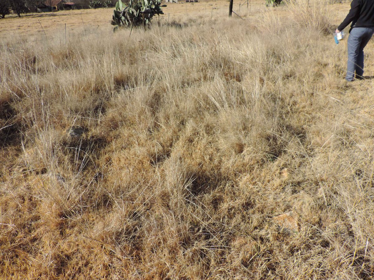 2. Overview