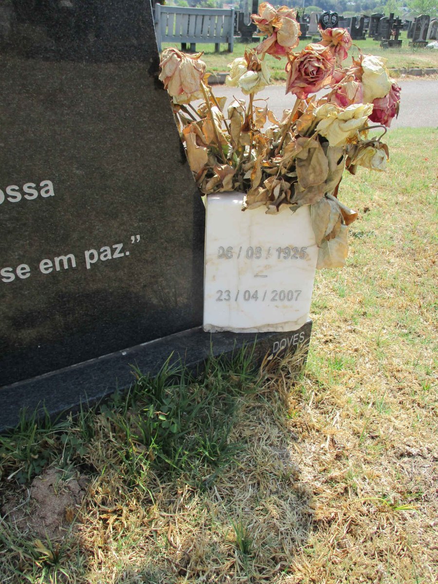 ALVES Maria Do Ceu 1925–2007 #2