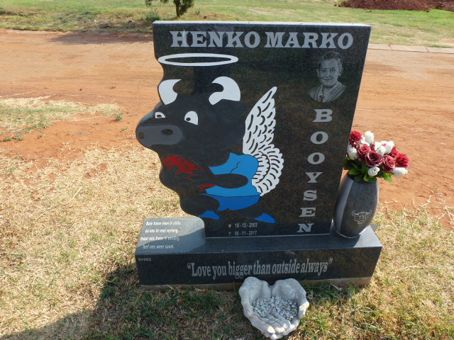 BOOYSEN Henko Marko 2003-2017