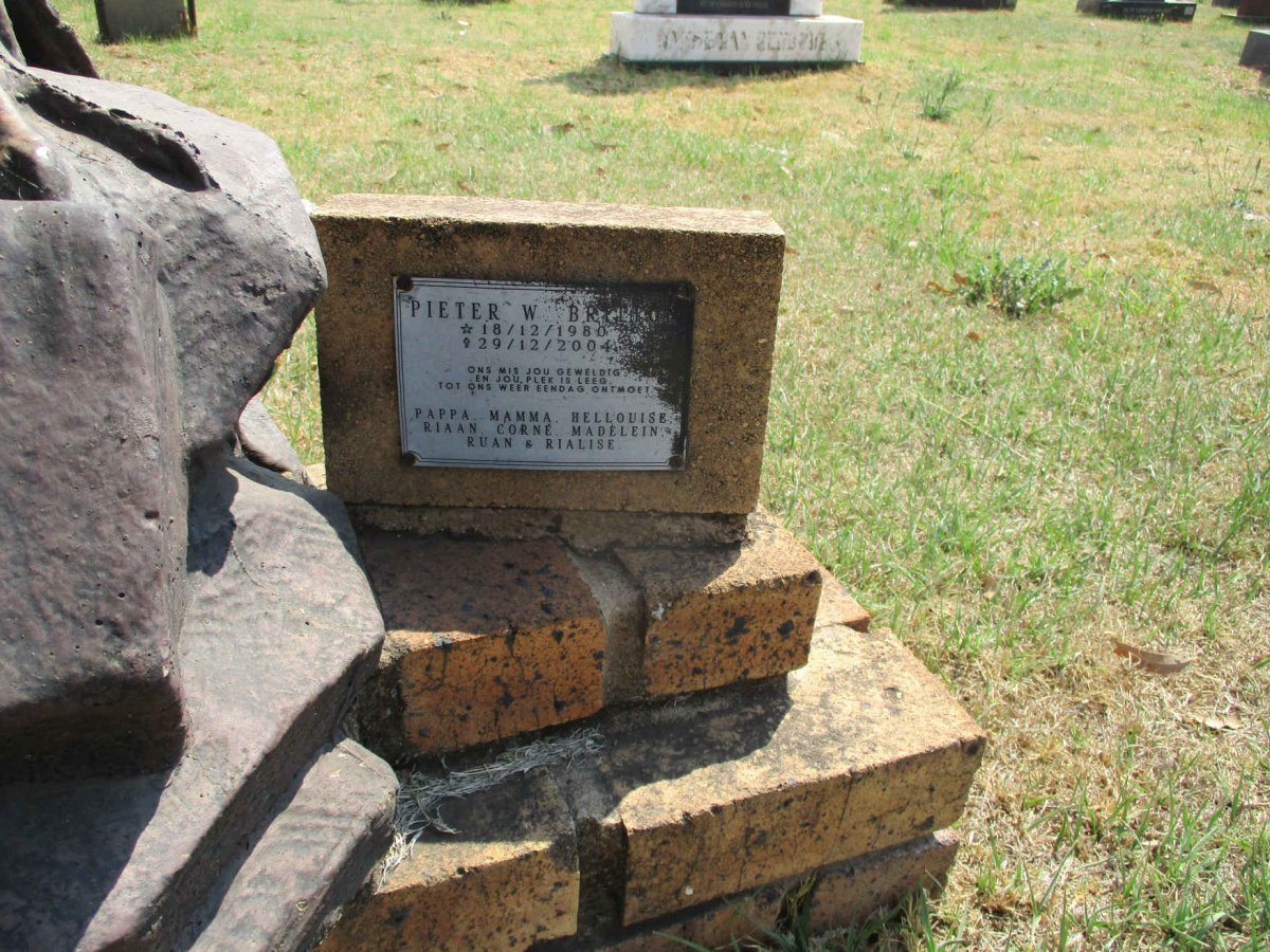 BRITTON Pieter W. 1980-2004