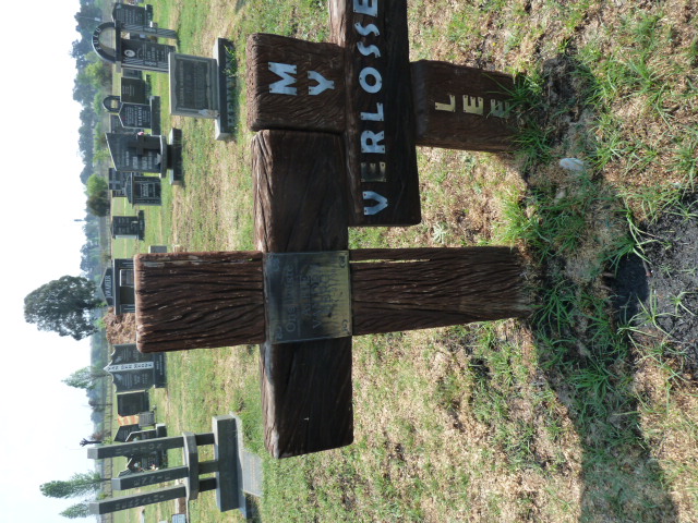 BERG Albie, van den 1937–2003 #1