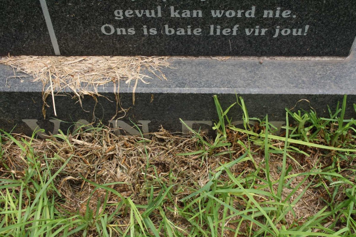 ECK Rachel Marietta, van 1956–2008 #2