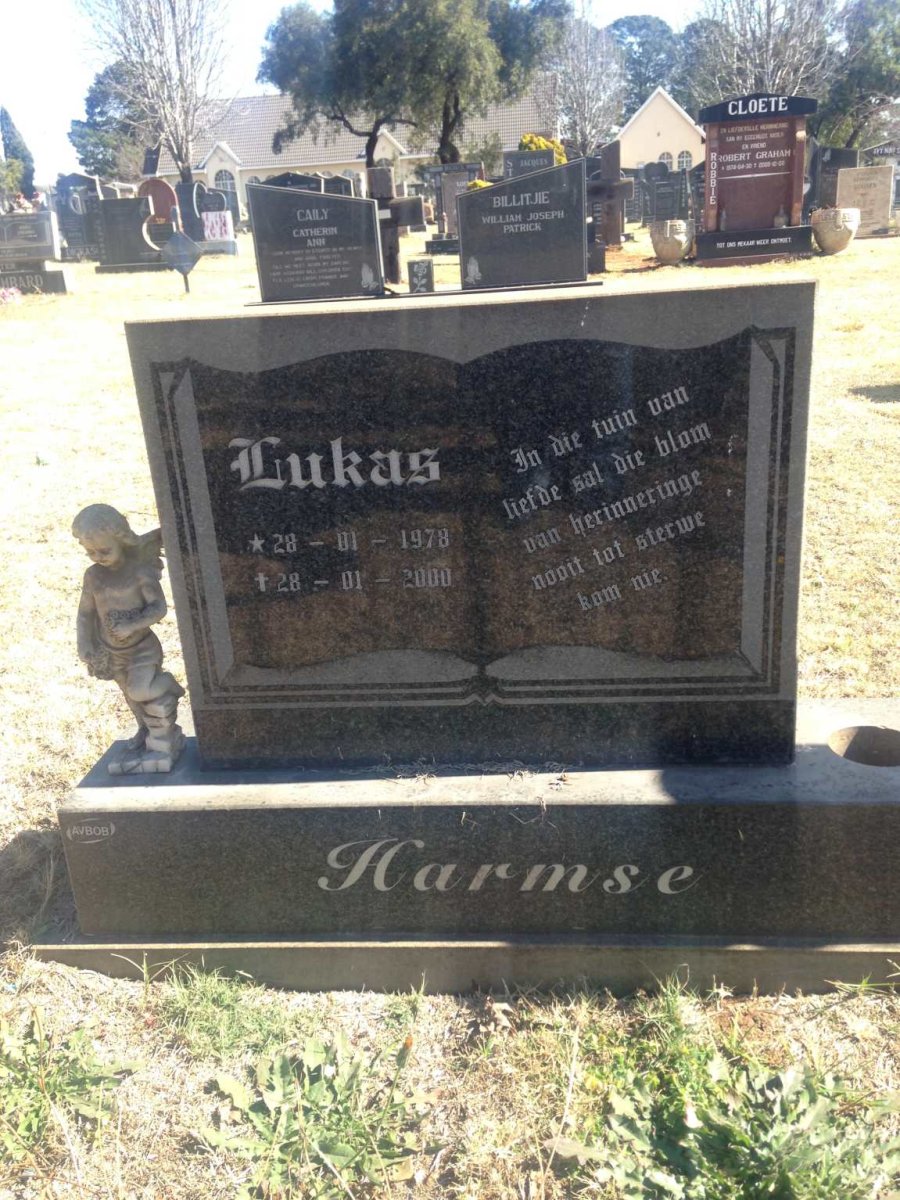 HARMSE Lukas 1978-2000