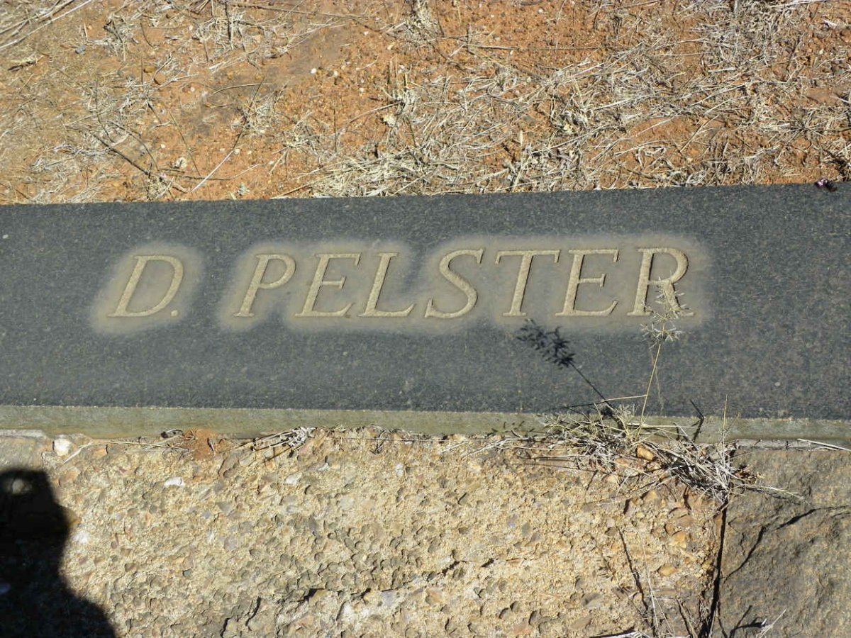 PELSTER D.