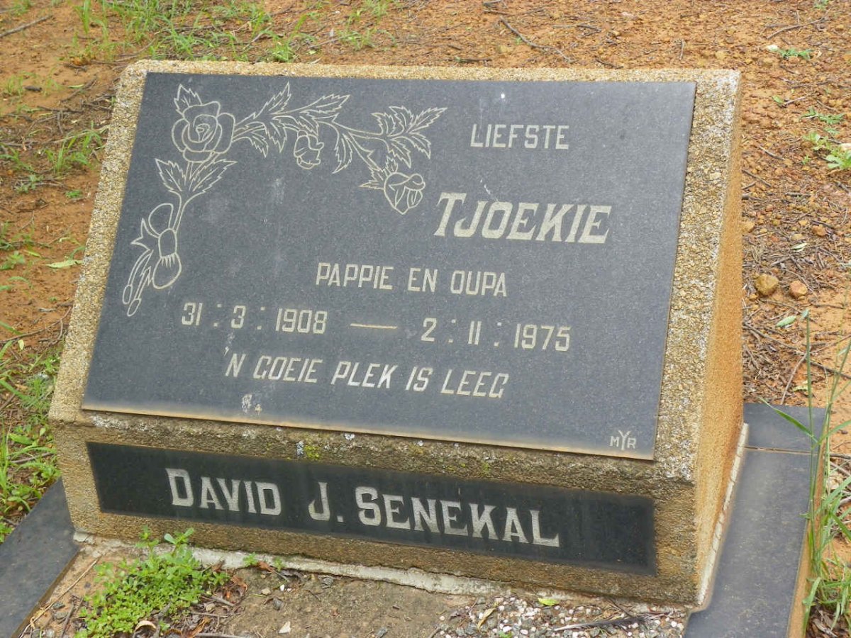 SENEKAL David J. 1908-1975