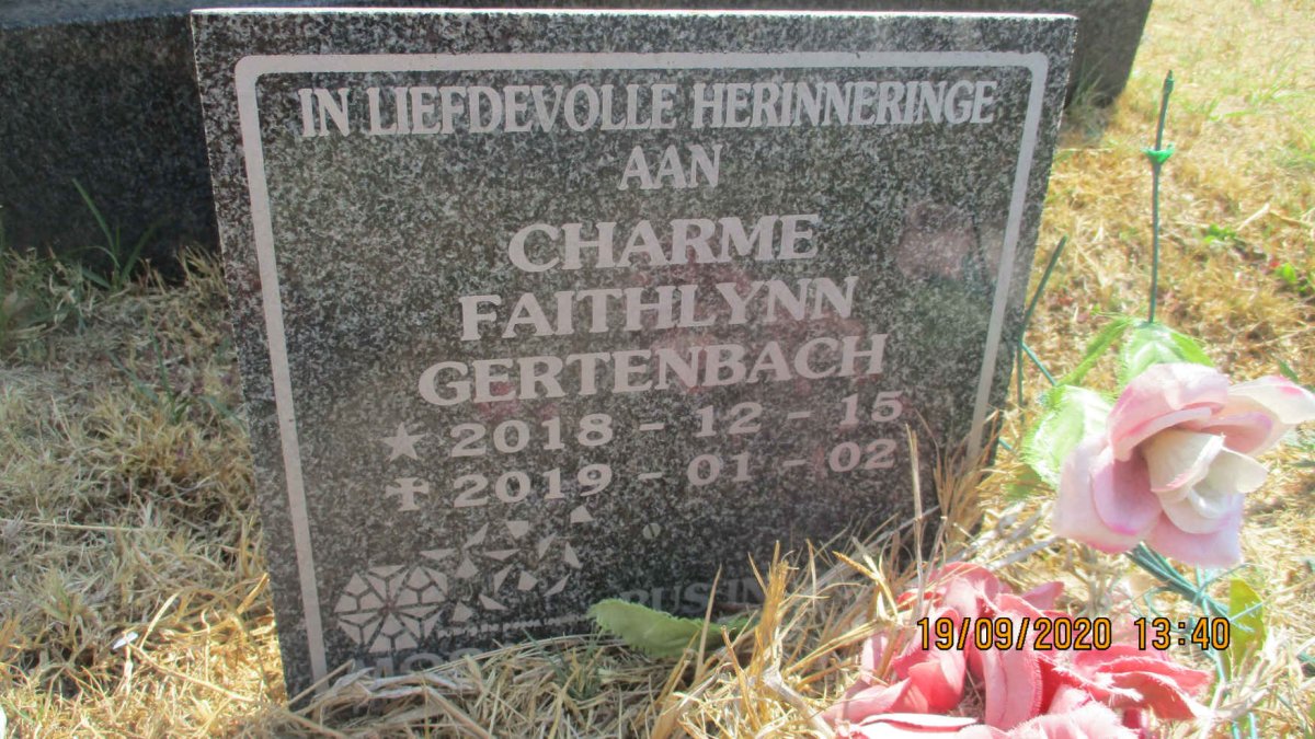 STEYN Willem snr 1941–2009 :: STEYN Willem jnr 1967–2005 :: GERTENBACH Charme Faithlynn 2018–2019 #3