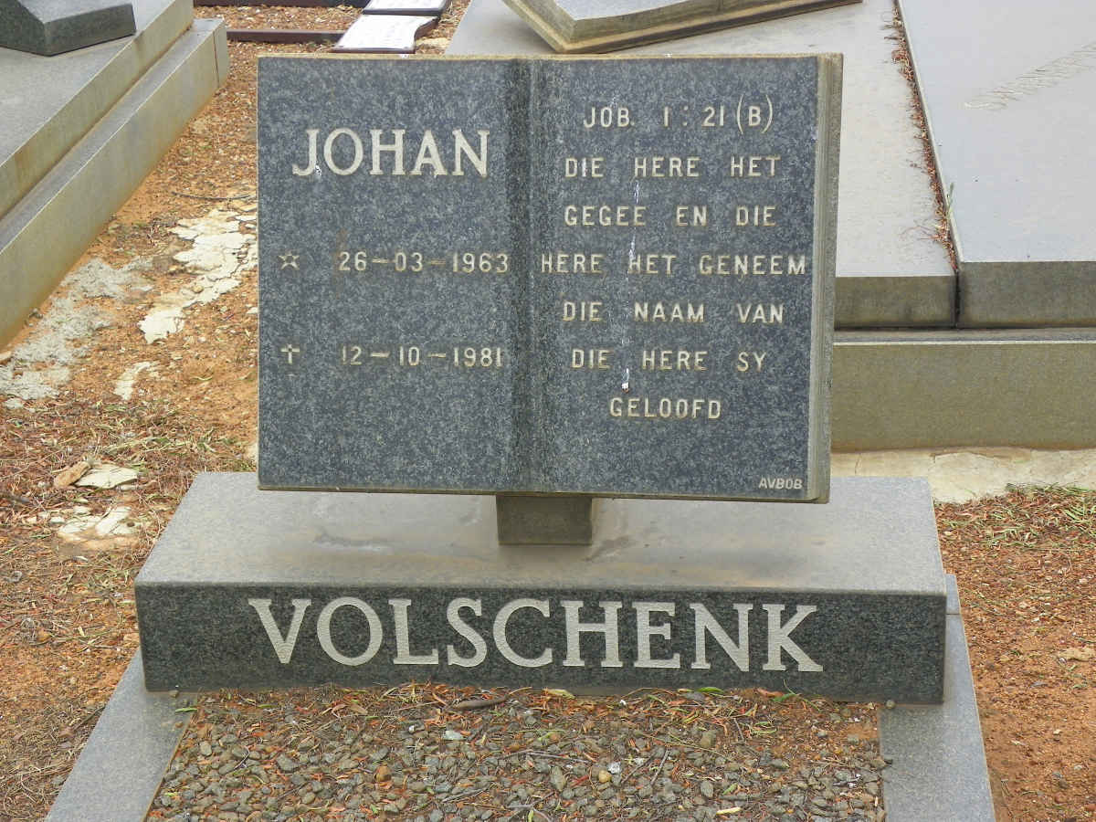 VOLSCHENK Johan 1963-1981