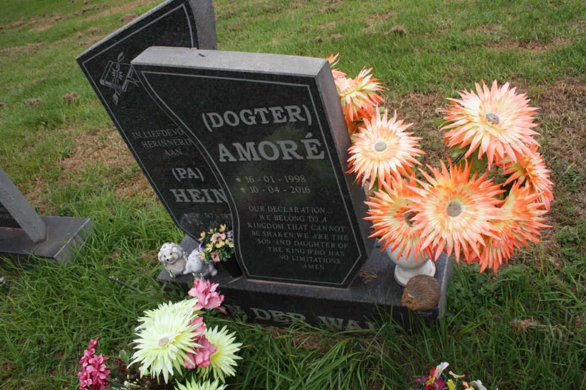 WALT Hein, van der 1972-2008 :: VAN DER WALT Amore 1998-2016 #2