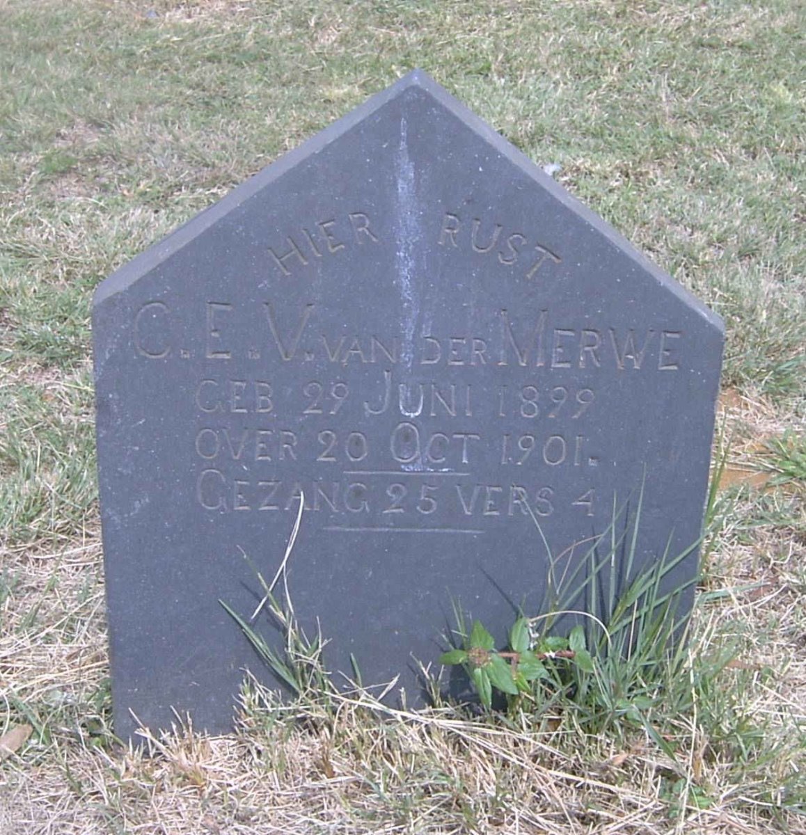 MERWE C.E.V., van der 1899-1901