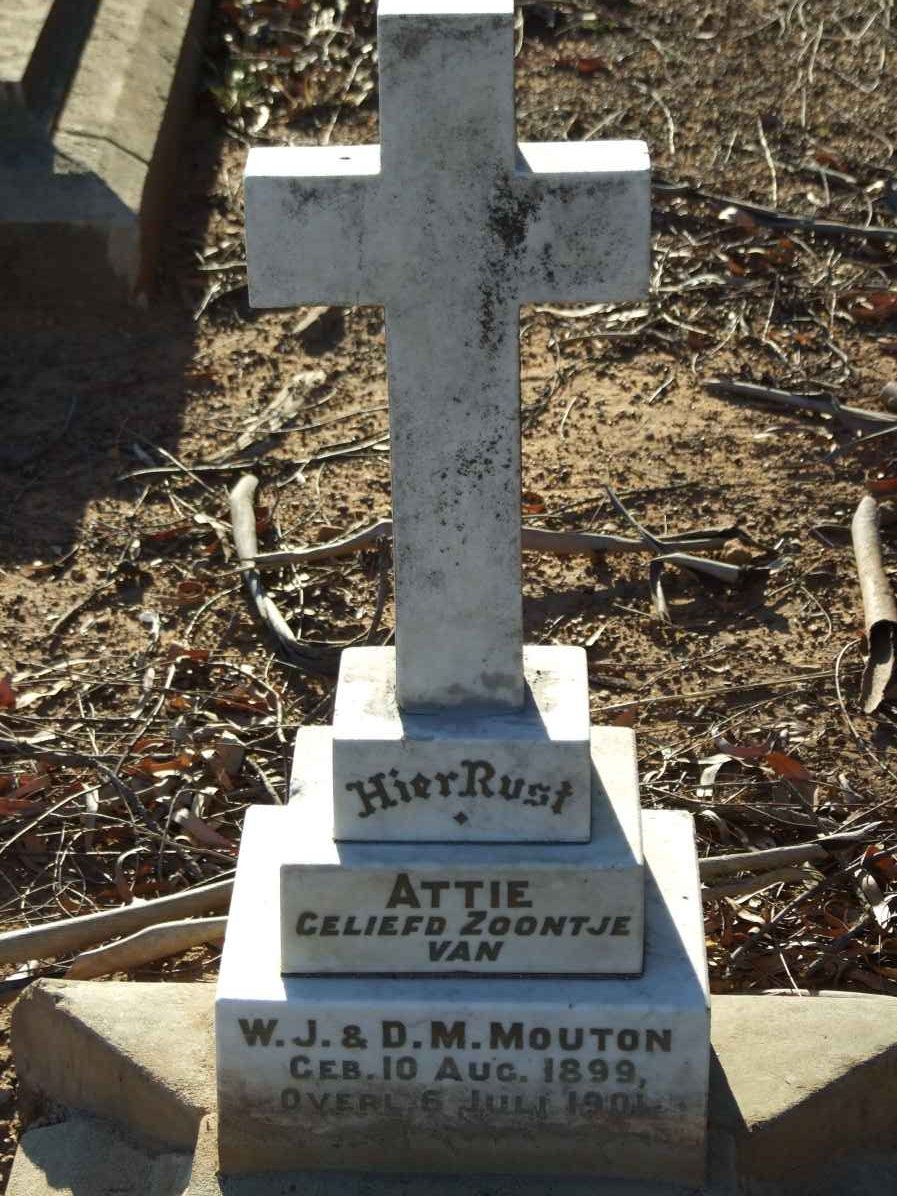 MOUTON Attie 1899-1901 #1