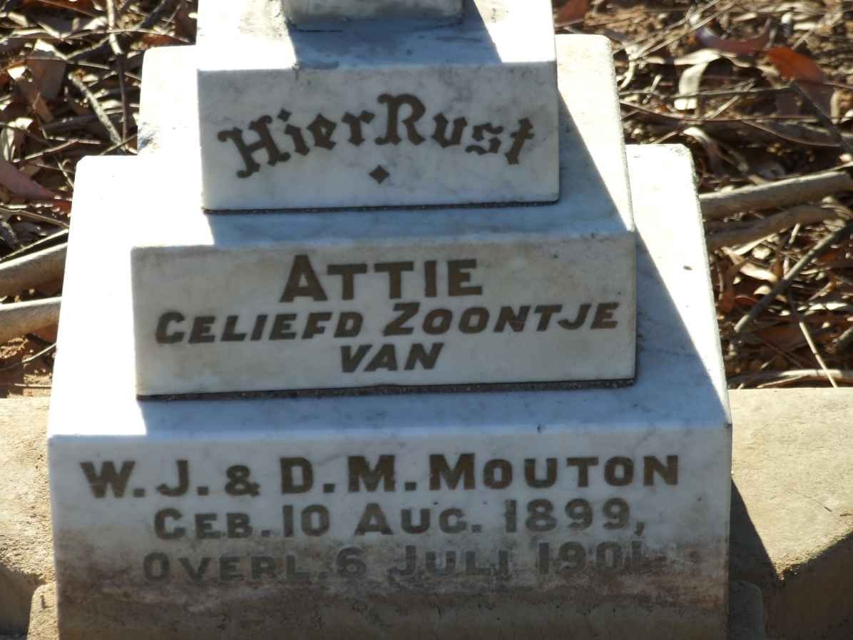 MOUTON Attie 1899-1901 #2