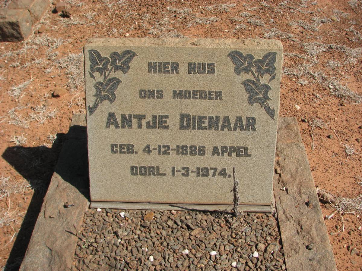 DIENAAR Antje nee APPEL 1886-1974