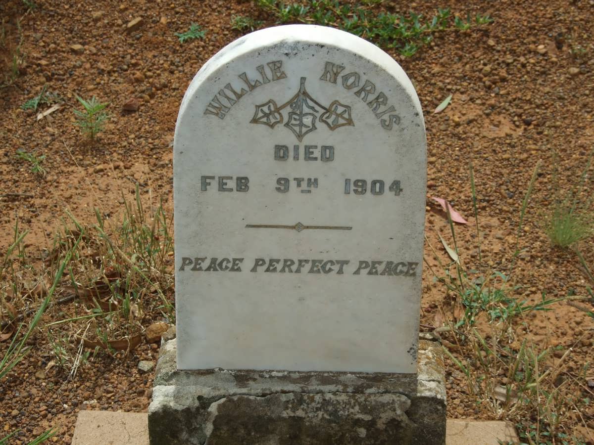NORRIS Willie -1904