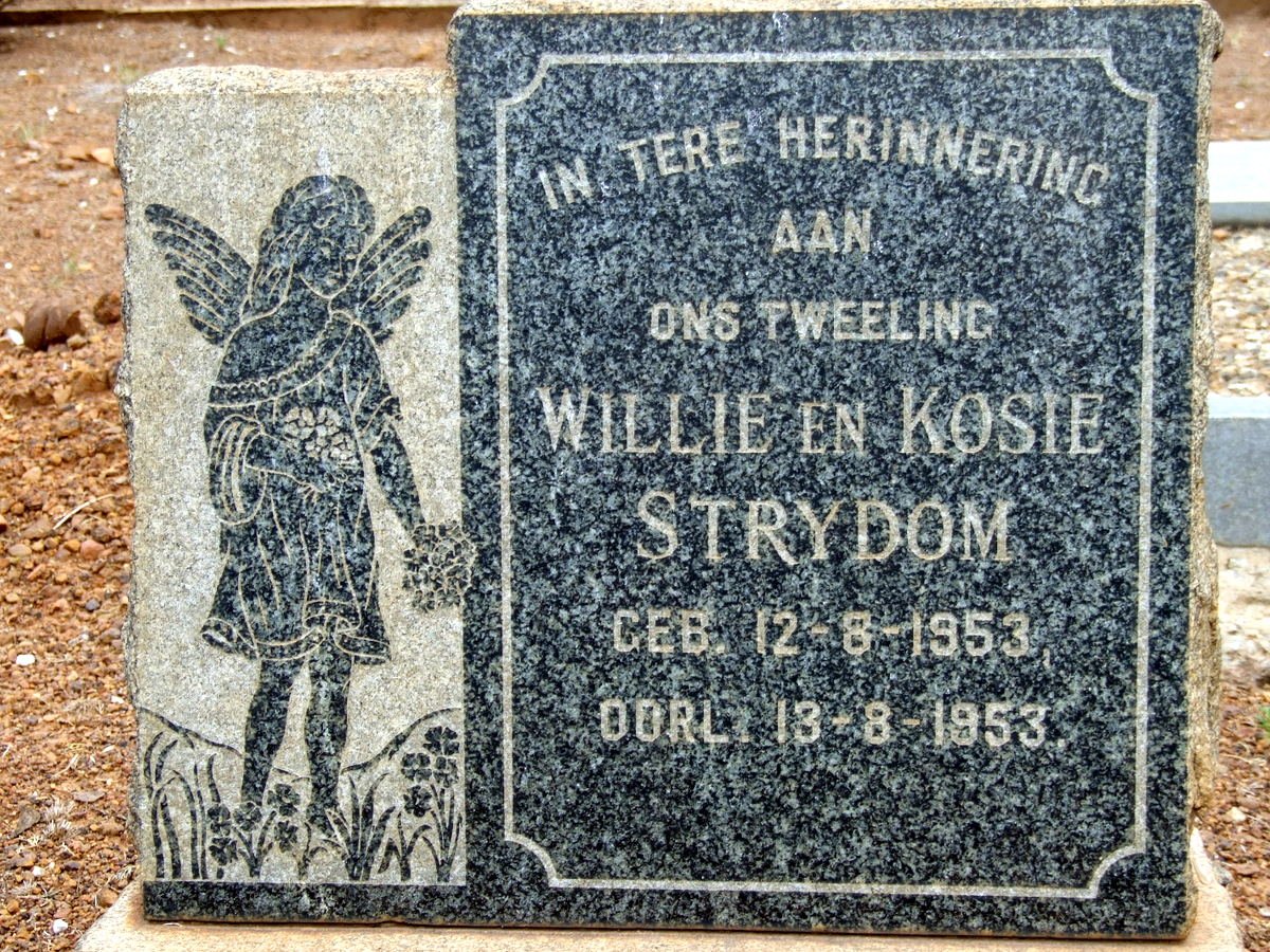 STRYDOM Willie 1953-1953 :: STRYDOM Kosie 1953-1953