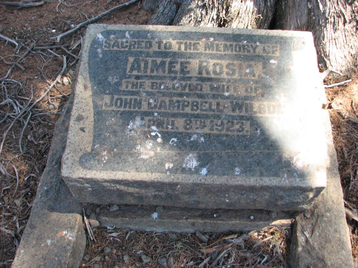 WILSON Aimee Rosia -1923