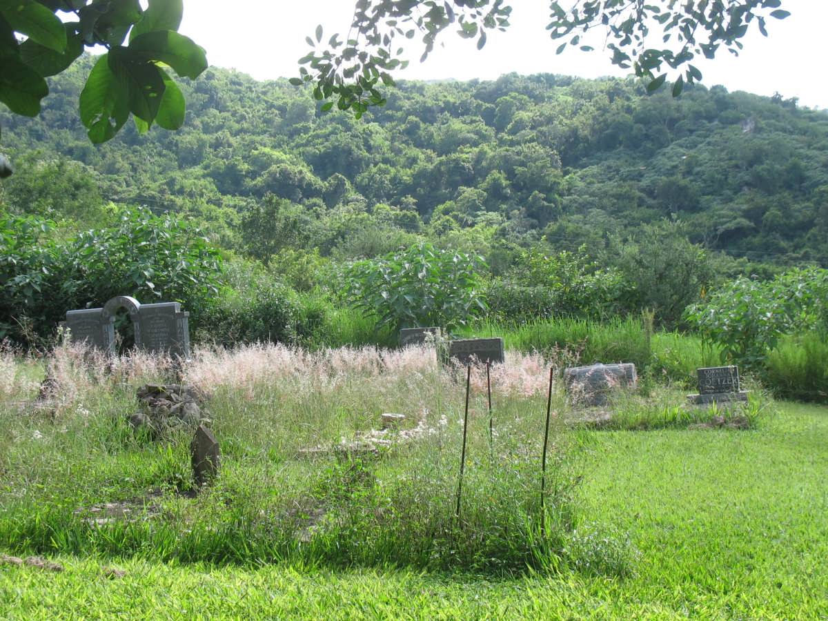 4. Overview