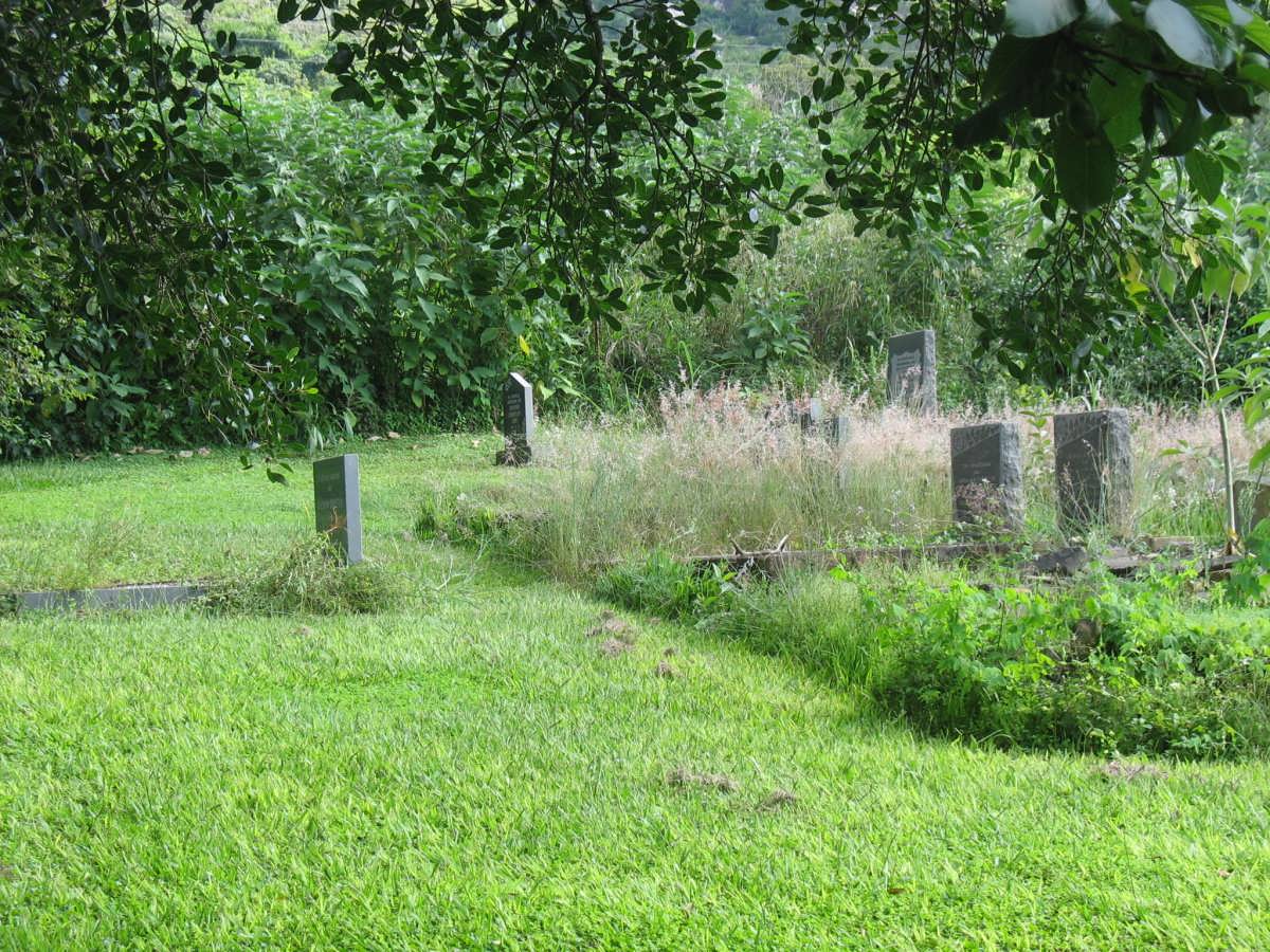 3. Overview
