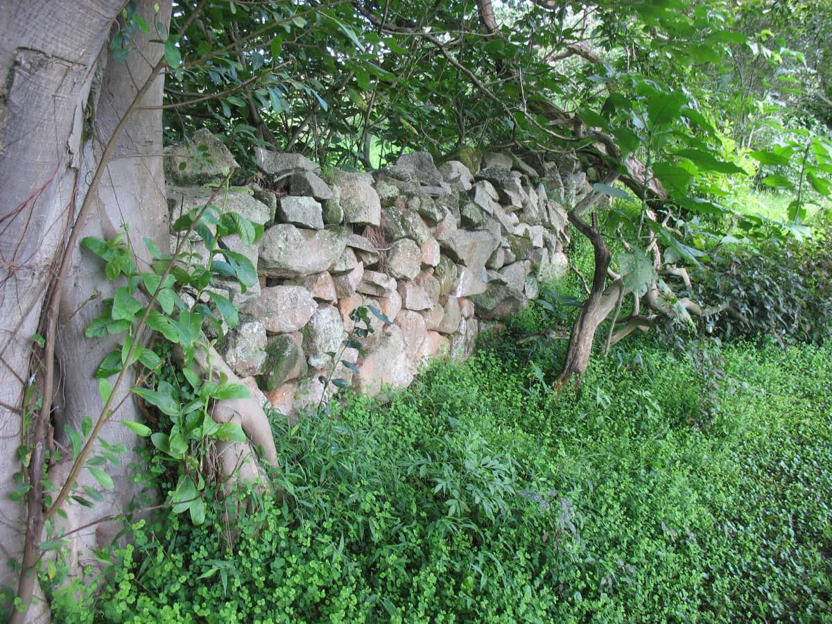 5. Overview