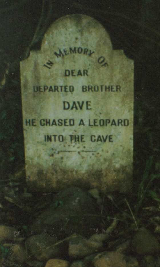 ? Dave