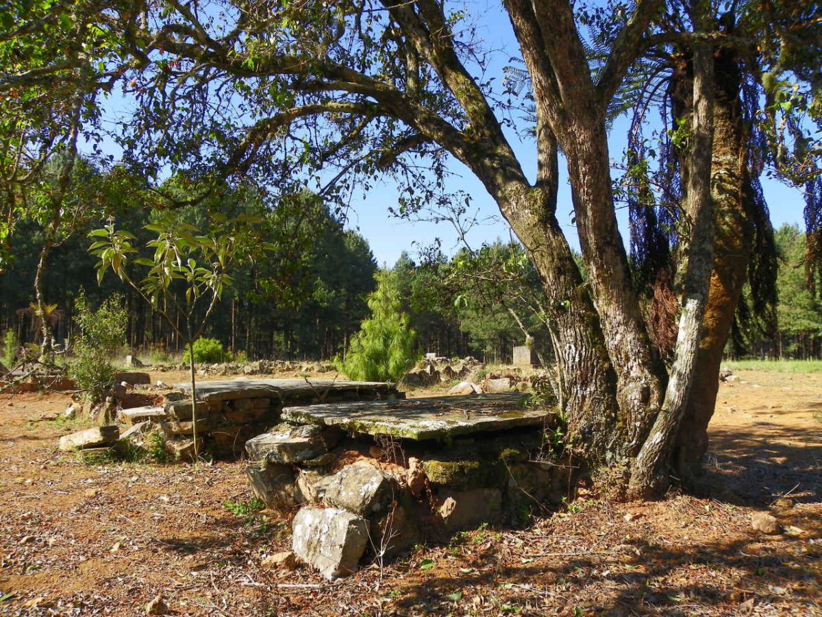 5. Overview