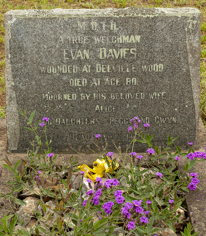 DAVIES Evan
