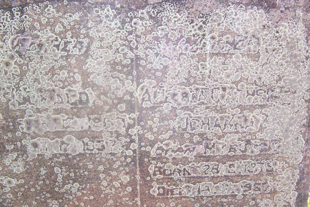 McDERMID Donald  1863-1937 &amp; Aletta Cathrina Johanna  MYBURGH 1875-1937