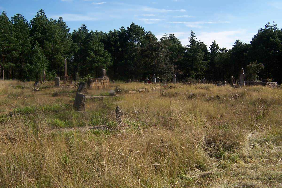 4. Overview