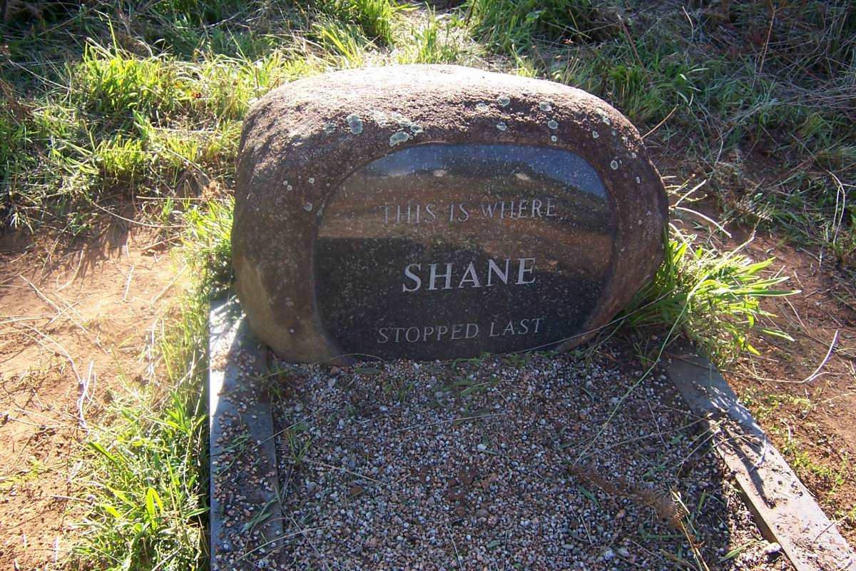 ?? Shane