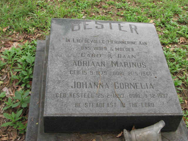 BESTER Adriaan Marinus 1879-1966 &amp; Johanna Cornelia KESTELL 1893-1937