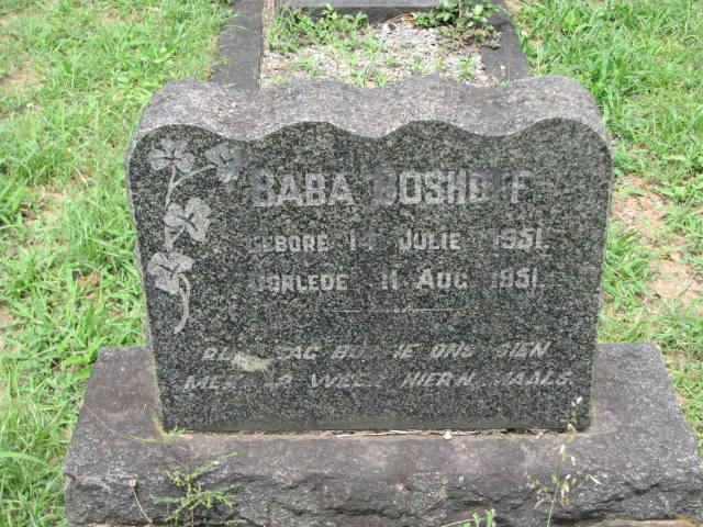 BOSHOFF Baba 1951-1951