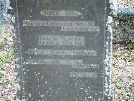 LANGENHOVEN Johann Godfried von B. 188?-19??