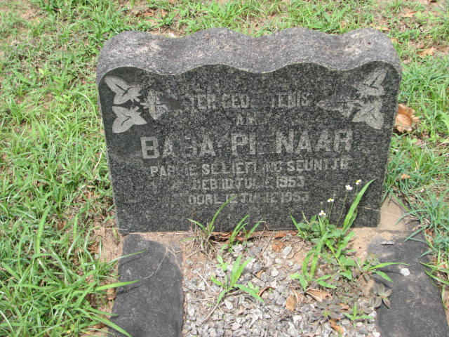 PIENAAR Baba 1953-1953