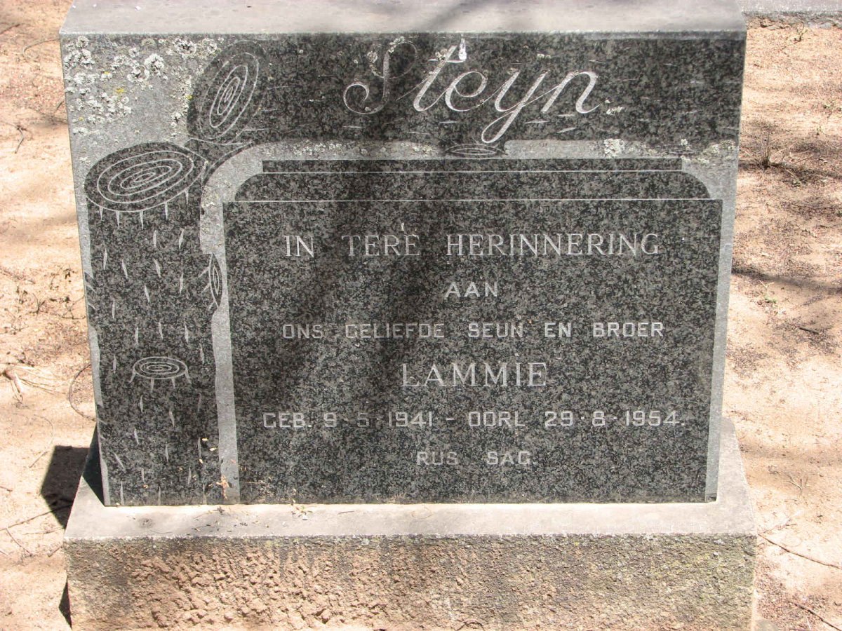 STEYN Lammie 1941-1954