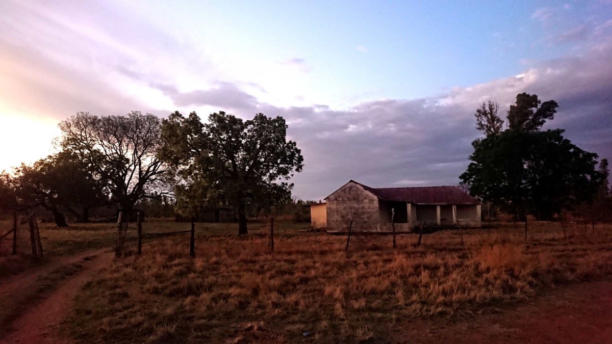 1. Oorsig / Overview Van Dyk Spruit