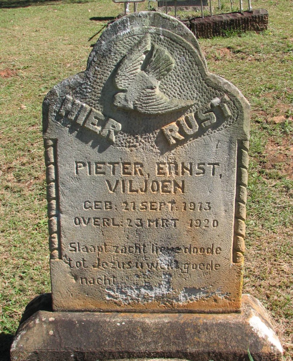 VILJOEN Pieter Ernst 1913-1920